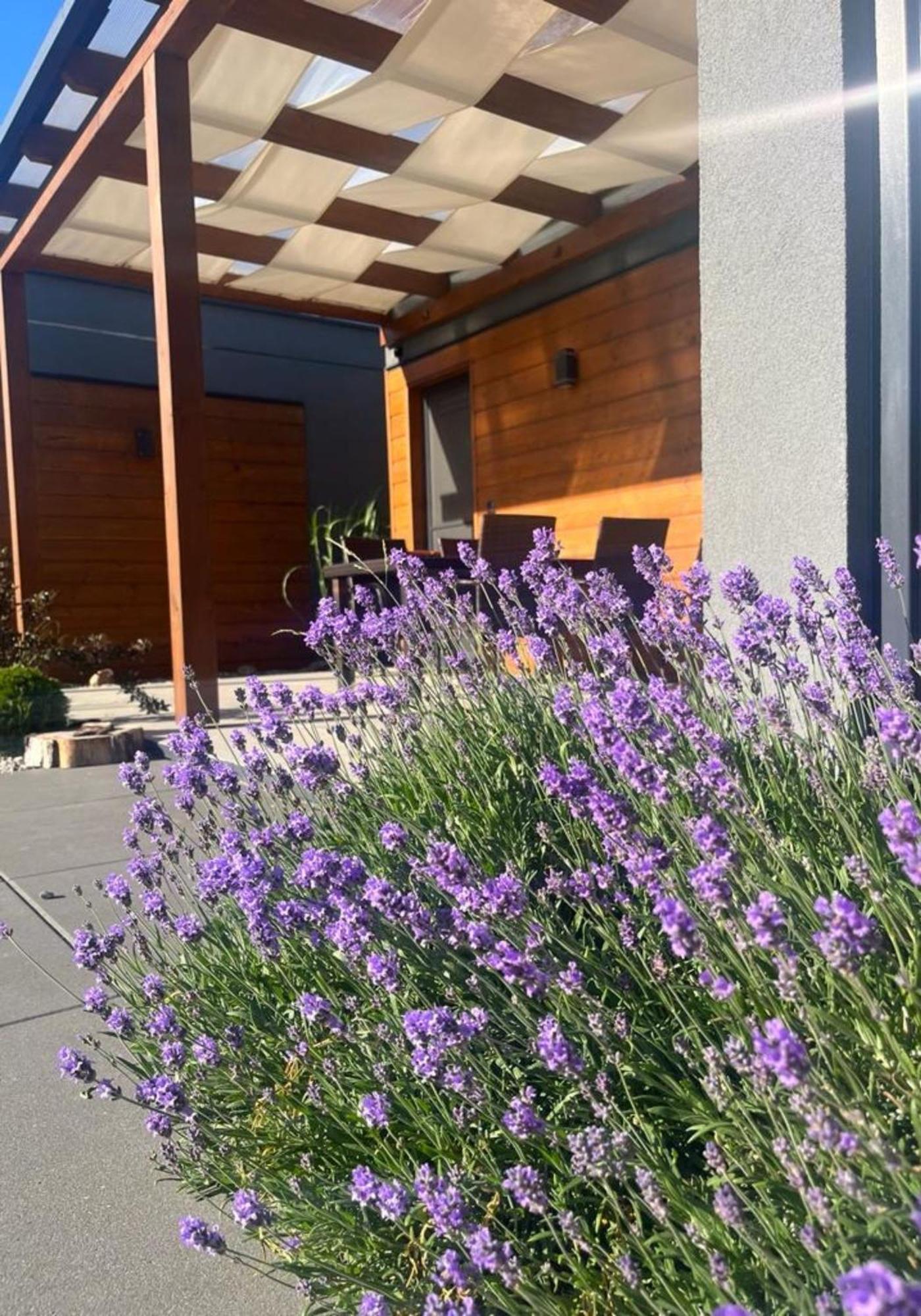 Cisza Bungalows Village / Blisko Natury Nowecin Exteriér fotografie